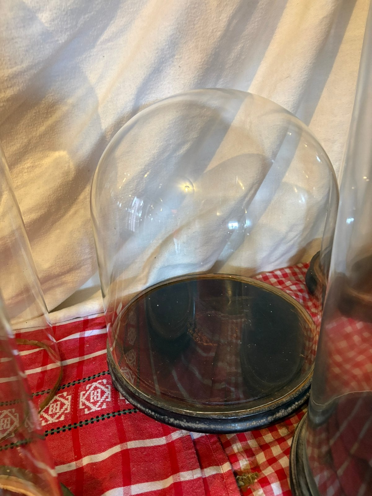 13 cloches anciennes avec assiettes en bois., Verre, Enlèvement, Comme neuf, Avec pied