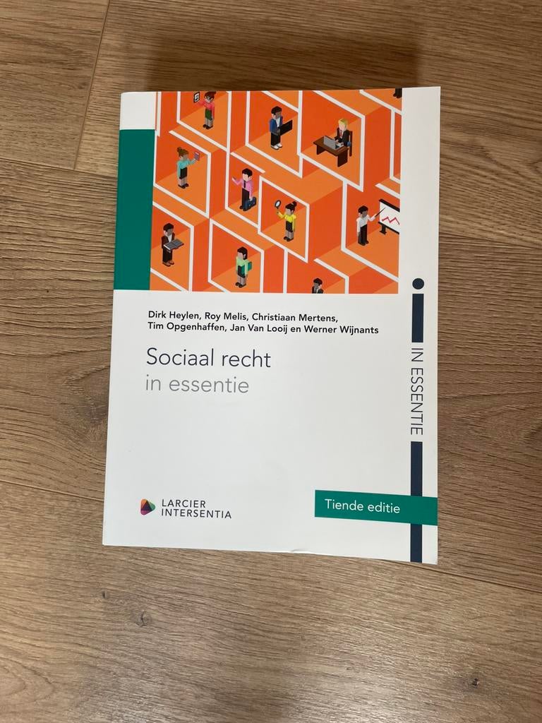 Dirk Heylen - Sociaal recht in essentie (tiende editie), Boeken, Ophalen, Economie, Zo goed als nieuw, Dirk Heylen; Roy Melis