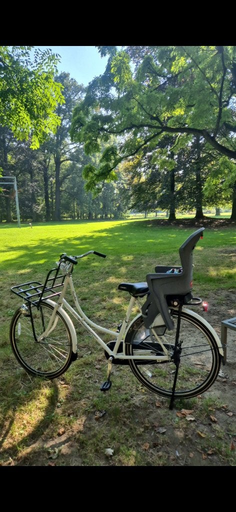 Fiets, Fietsen en Brommers, Ophalen, Gebruikt, Terugtraprem, Overige merken