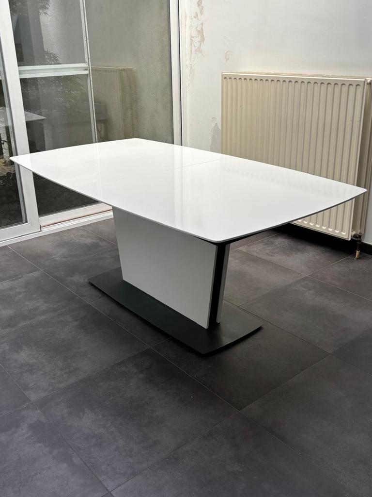 Design tafel (uitschuifbaar), Huis en Inrichting, Tafels | Eettafels, Ophalen, Gebruikt, 200 cm of meer, 50 tot 100 cm