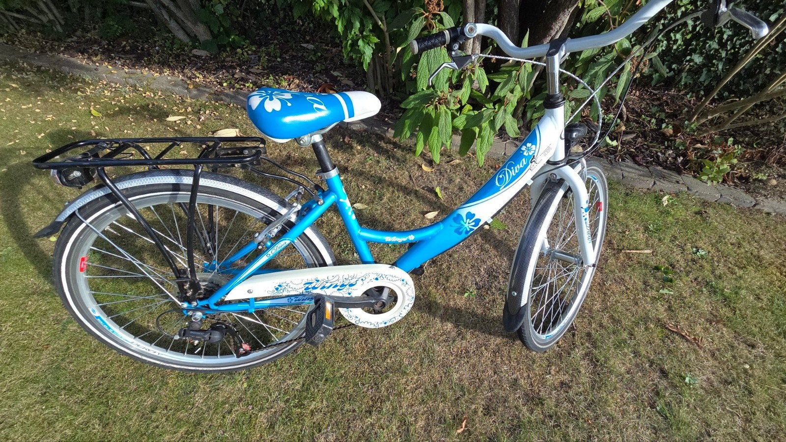 Vélo 24 pouces pour fille, Enlèvement