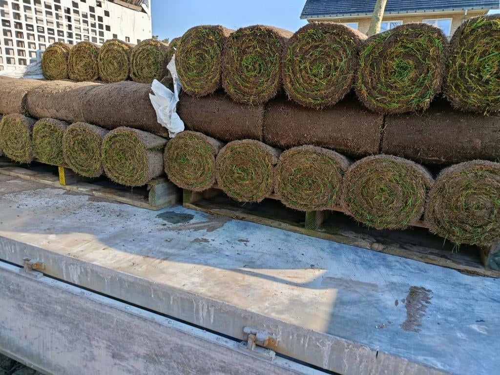 Plaatsen van grasmatten, Tuin en Terras, Ophalen of Verzenden