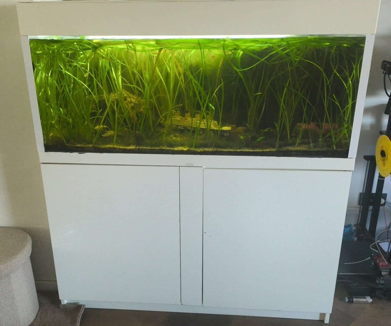 aquarium 500l, Dieren en Toebehoren, Ophalen
