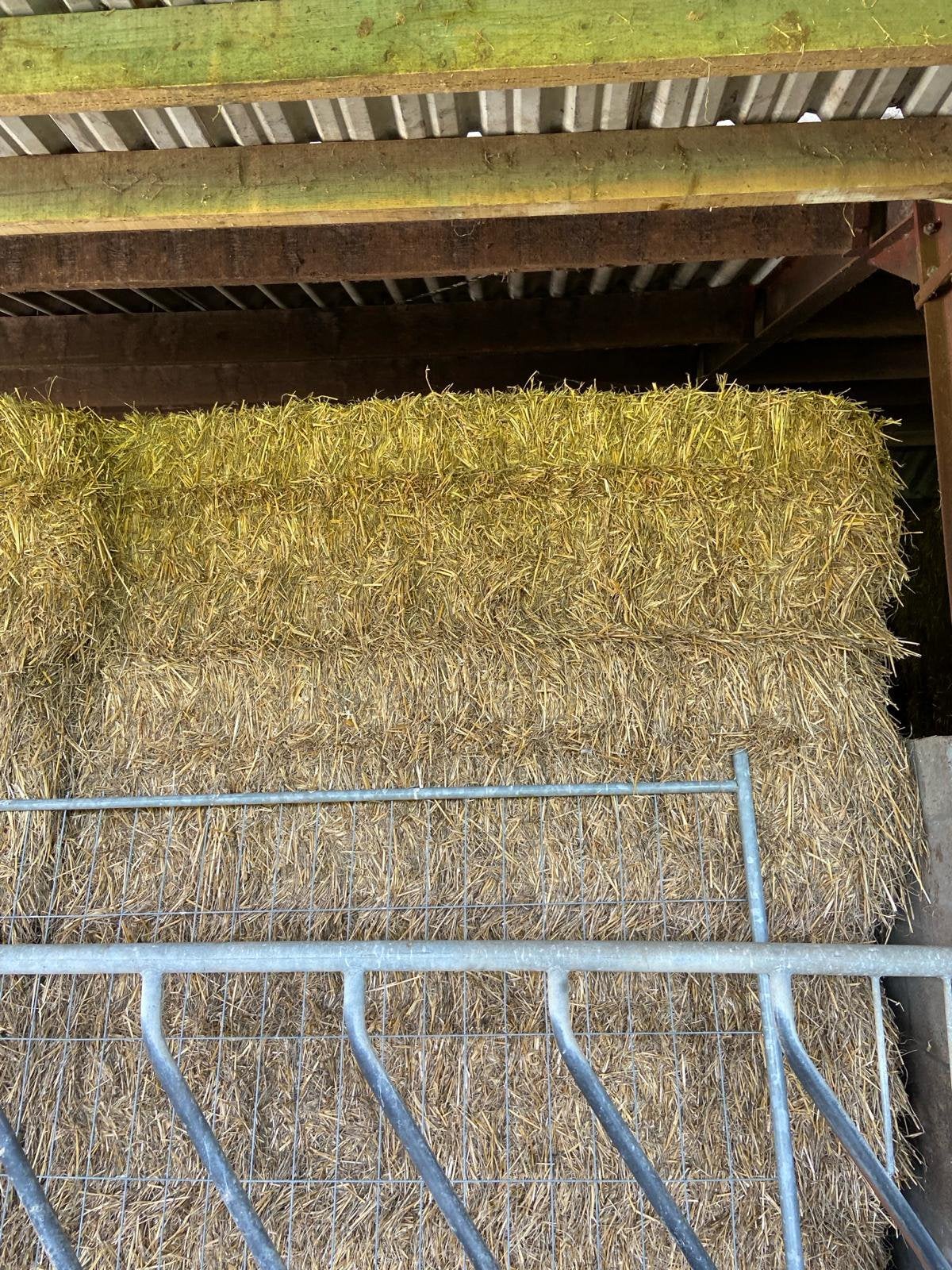 Hooi kleine en grote pakken, ook stro., Zakelijke goederen, Landbouw | Veevoer, Ophalen