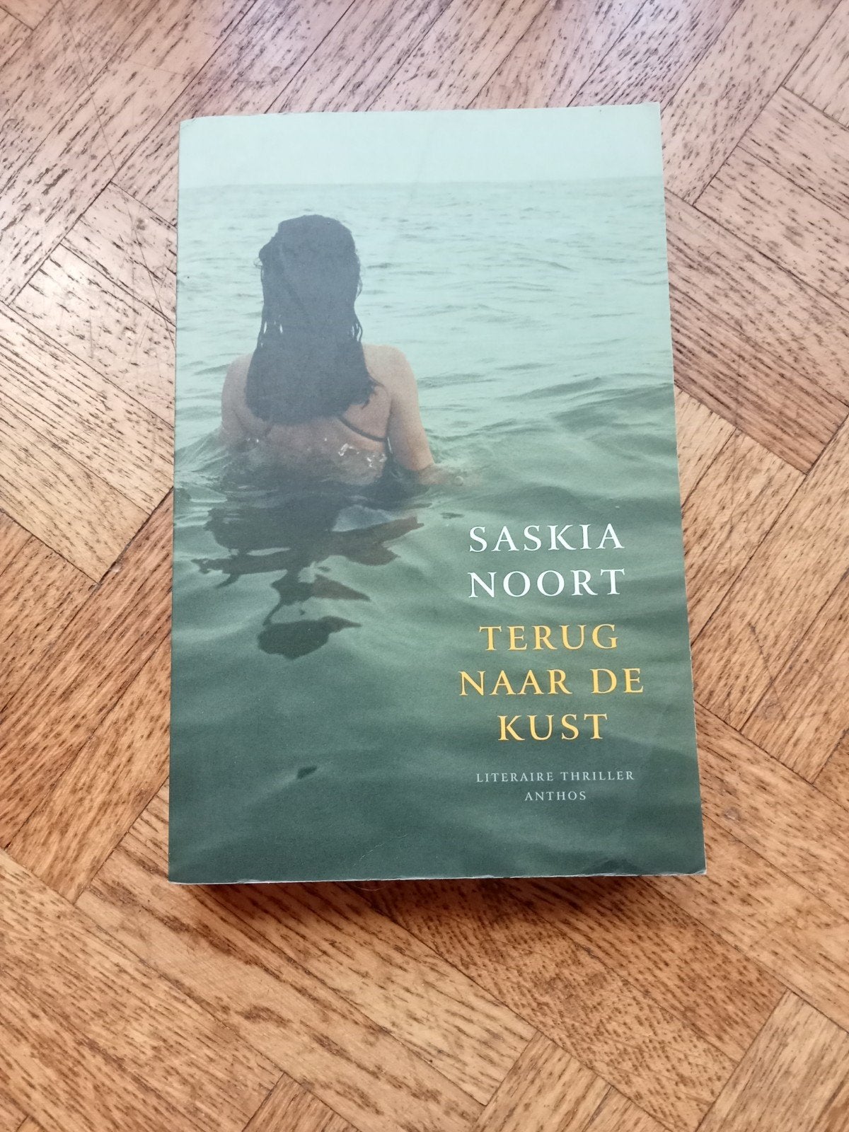 Saskia Noort: Terug naar de kust, Boeken, Thrillers, Gelezen, Ophalen of Verzenden