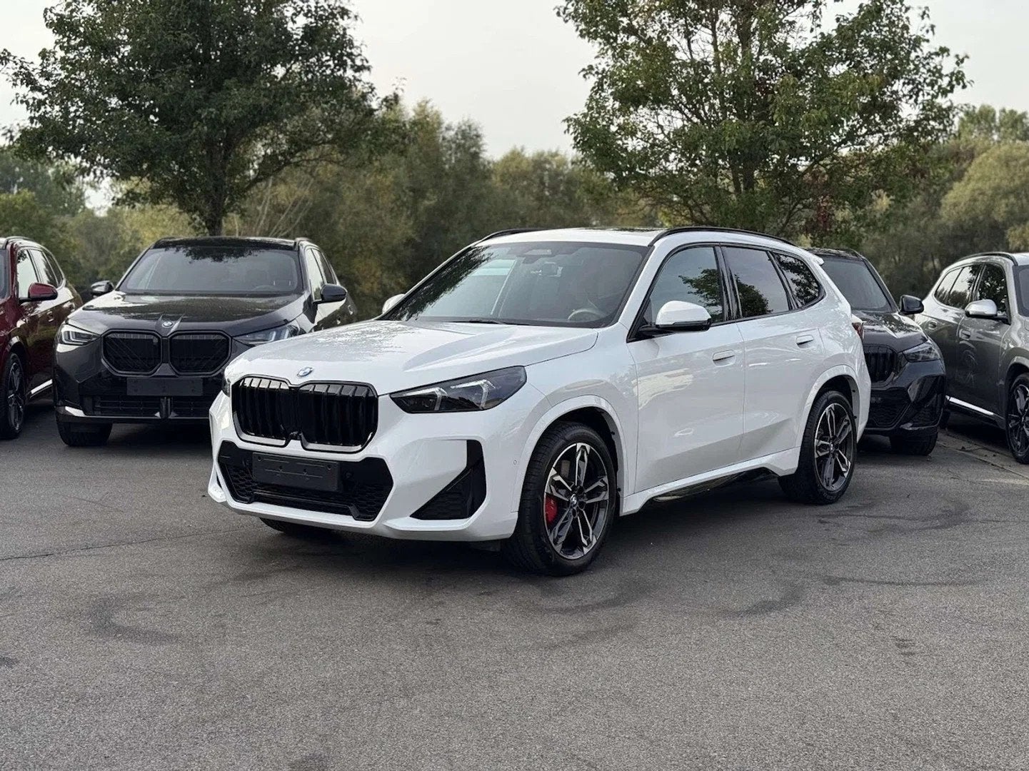 BMW X1 sDrive18i M Sport Pro / M SEAT / DRIV PROF / PANO / H, Achat, Euro 6, Entreprise, https://public.car-pass.be/vhr/0502b6be-b6a3-4a91-bef0-be8863686907