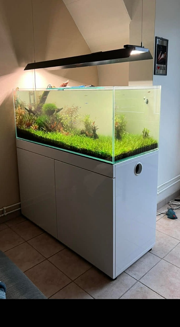 Aquarium, Enlèvement, Utilisé, Filter