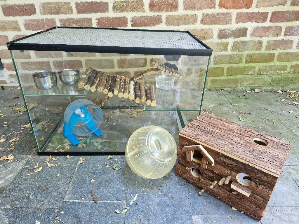 Hamsterkooi met toebehoren, Dieren en Toebehoren, Ophalen, Gebruikt, Overige typen