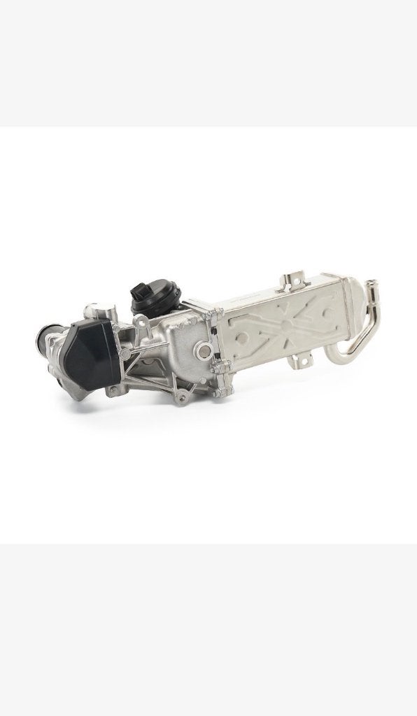 EGR-Klep, Ophalen, Nieuw, Audi