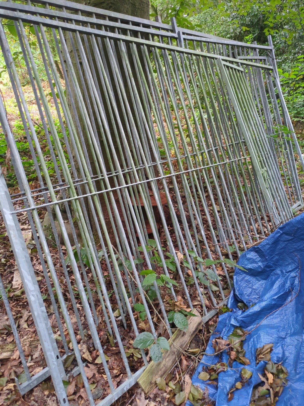 hondenren, Dieren en Toebehoren, Hondenhokken, Ophalen