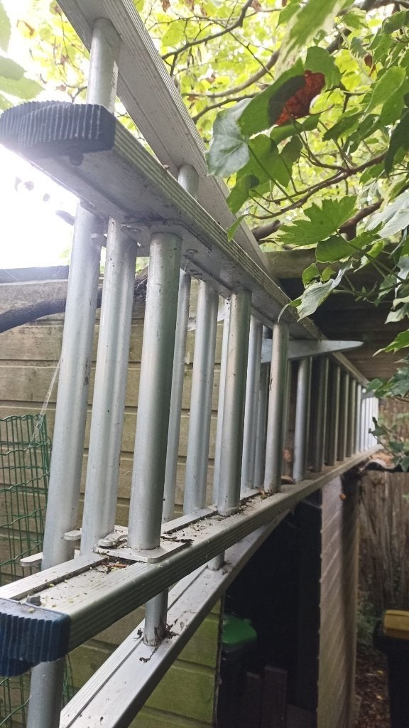 Ladder, 2 à 4 mètres, Pliable ou rétractable/escamotable, Comme neuf, Échelle