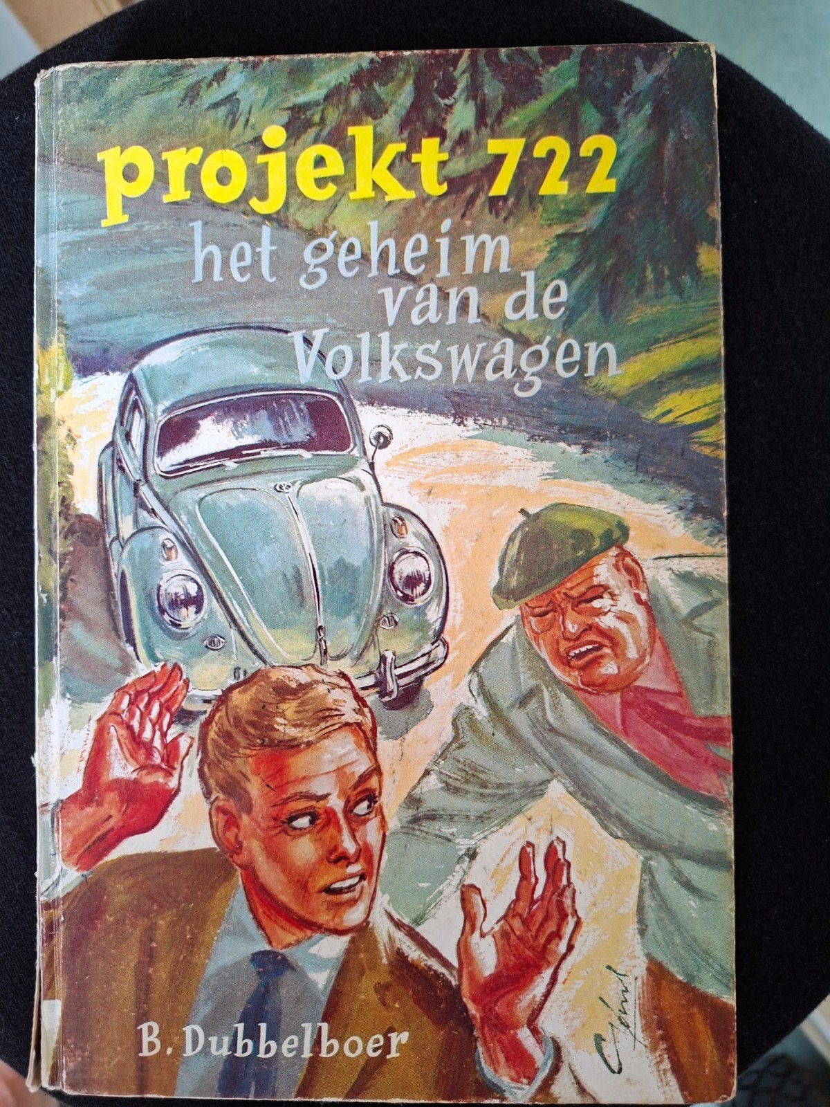 Volkswagen Vw Kever boek Dubbelboer, Ophalen of Verzenden