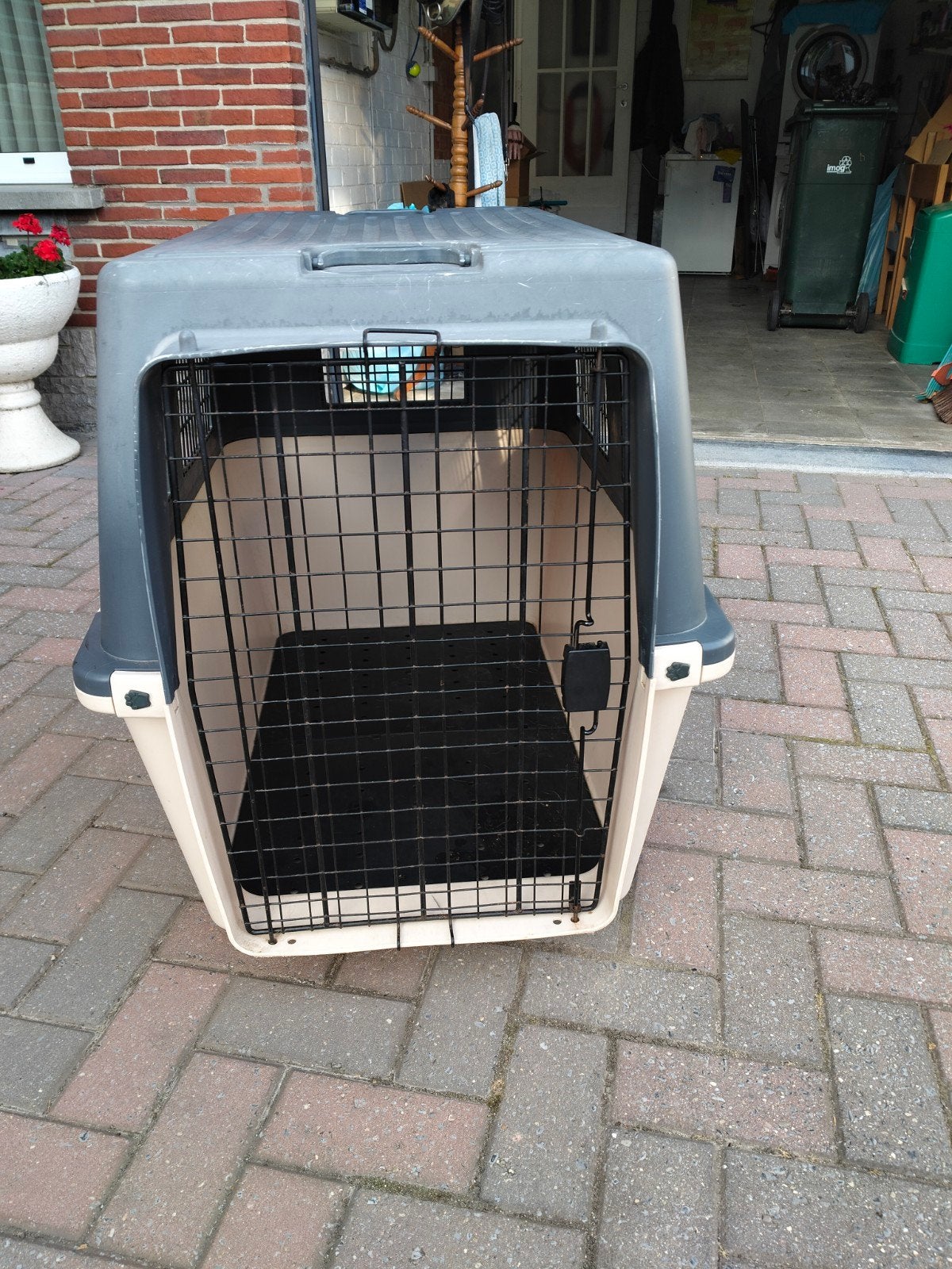 Cage de voyage pour chien, Enlèvement