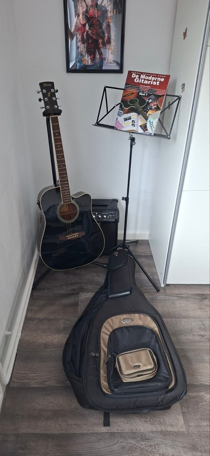 Gitaar (electrisch regelbaar) met alle toebehoren, Muziek en Instrumenten, Snaarinstrumenten | Gitaren | Akoestisch, Ophalen