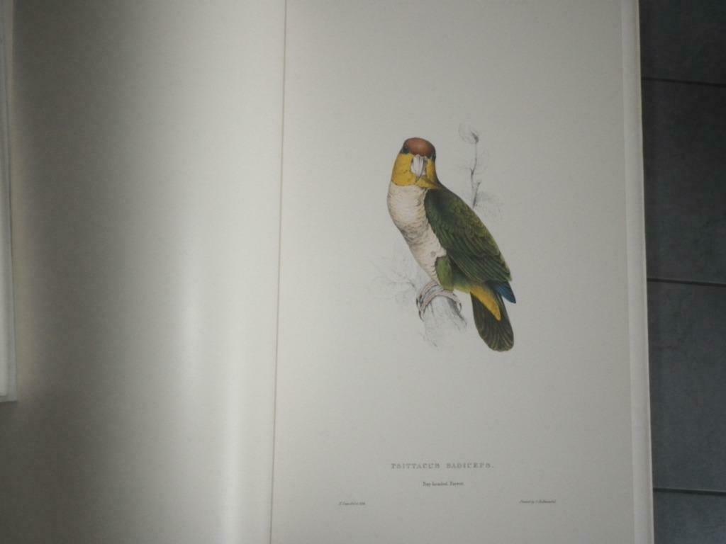 La famille des psittacidés ou perroquets, Edward Lear, Livres, Animaux & Animaux domestiques, Brian Reade, Comme neuf, Enlèvement