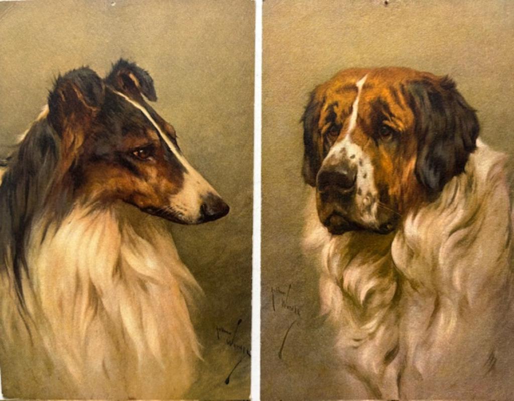 Twee antieke postkaarten van Arthur Wardle, Ophalen of Verzenden