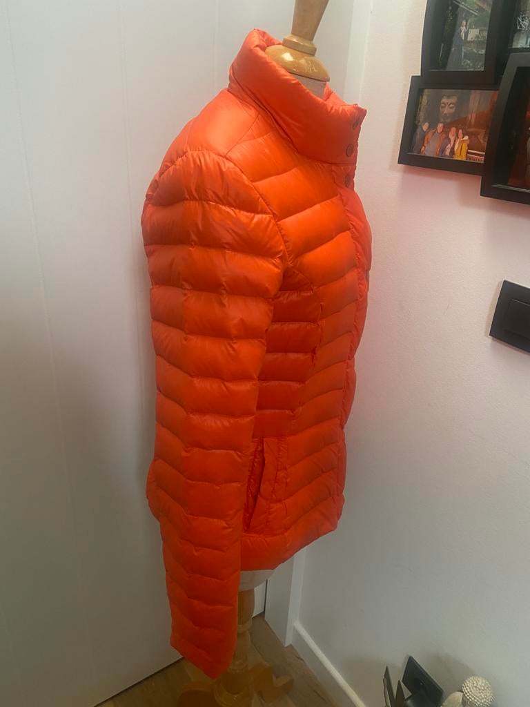 Veste tommy hilfiger, Tommy hilfiger, Oranje, Ophalen of Verzenden, Maat 36 (S)