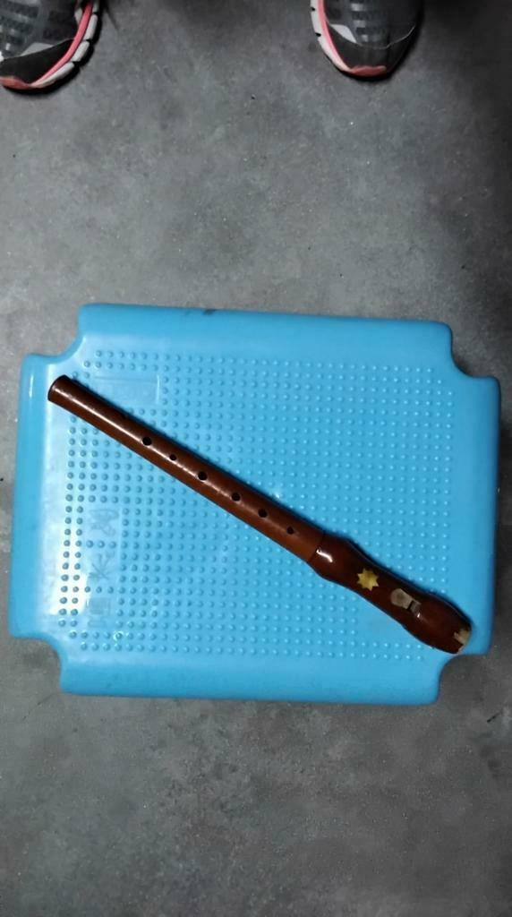 Flûte à bec. Marque "Venus", Musique & Instruments, Instruments à vent | Flûtes à bec, Enlèvement ou Envoi, Utilisé