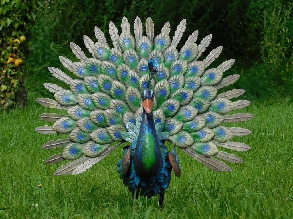 Beeld Pauw XL - Metaal - Vol in Kleur, Tuin en Terras, Ophalen of Verzenden, Metaal, Dierenbeeld