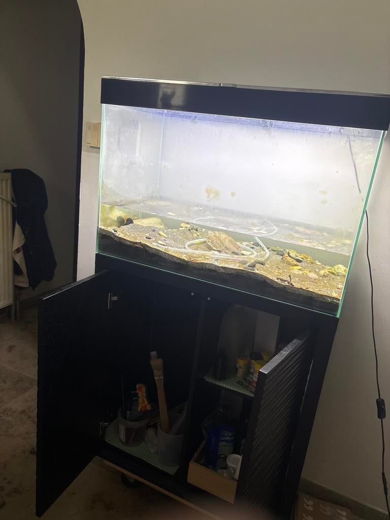 Aquarium 200l met op maat gemaakte ingebouwde kasten., Ophalen, Zo goed als nieuw, Overige typen