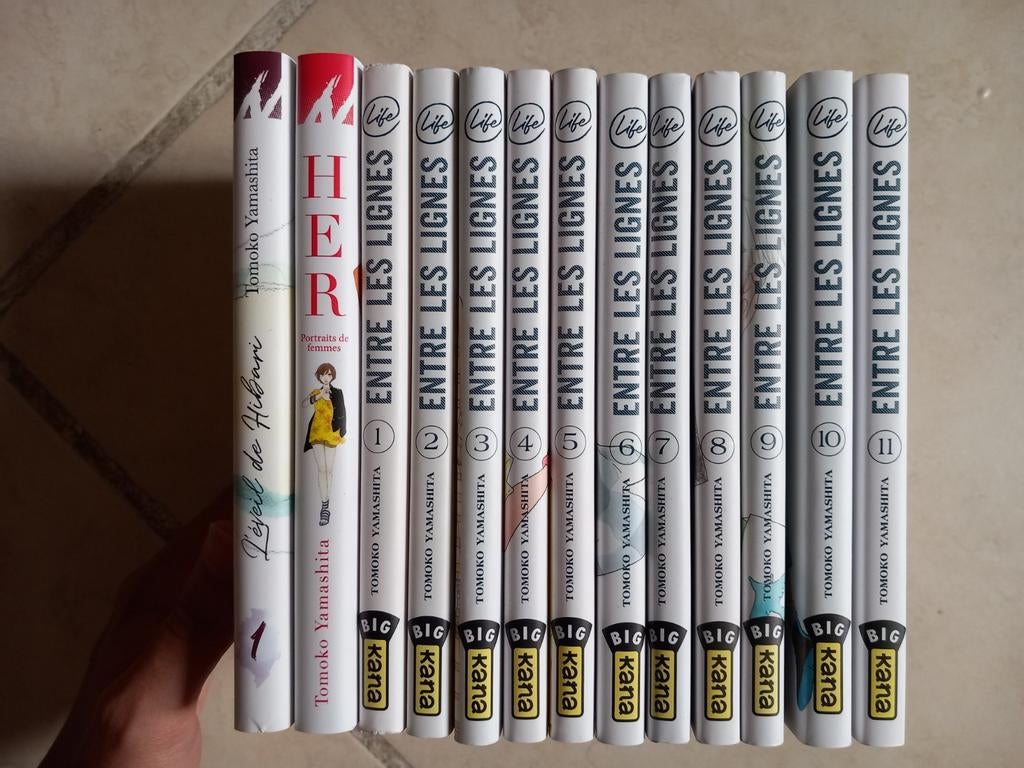 Manga Entre Les Lignes intégrale 13 tomes, Enlèvement ou Envoi, Comme neuf