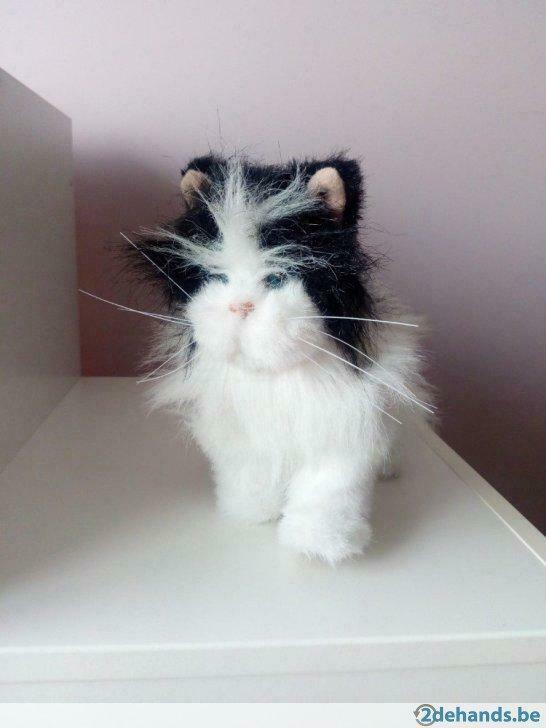 Furreal poes, Enlèvement, Utilisé