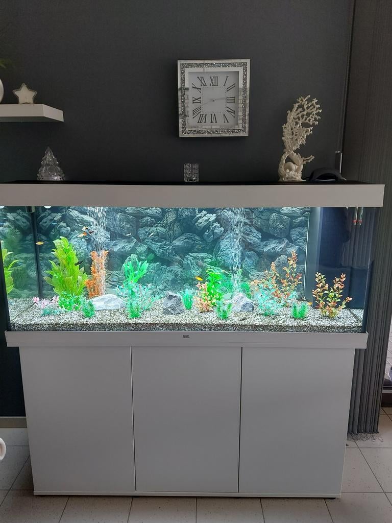 Aquarium avec les poissons, Ophalen