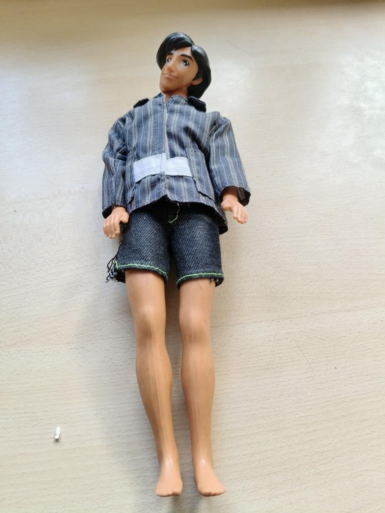 Collection Ken Barbie, Collections, Poupées, Enlèvement
