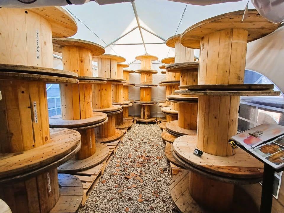 💥Touret de câble en bois 70 à 100cm💥, Jardin & Terrasse, Tay's Touret, Taystouret@gmail.com, Utilisé, Enlèvement ou Envoi