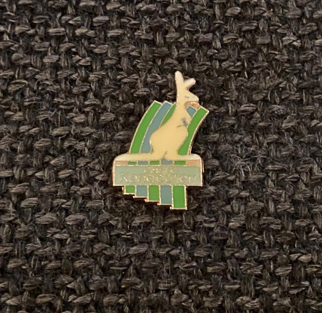 PIN - LA CARTE KANGOUROU - CARTE DE CRÉDIT, Envoi, Utilisé, Autres sujets/thèmes, Insigne ou Pin's