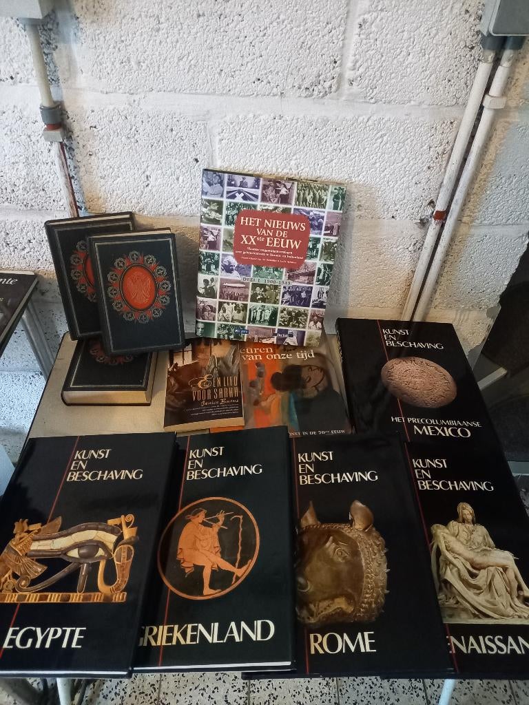 Boeken wielrennen & kunstboeken, Enlèvement, Utilisé, Autres sujets/thèmes