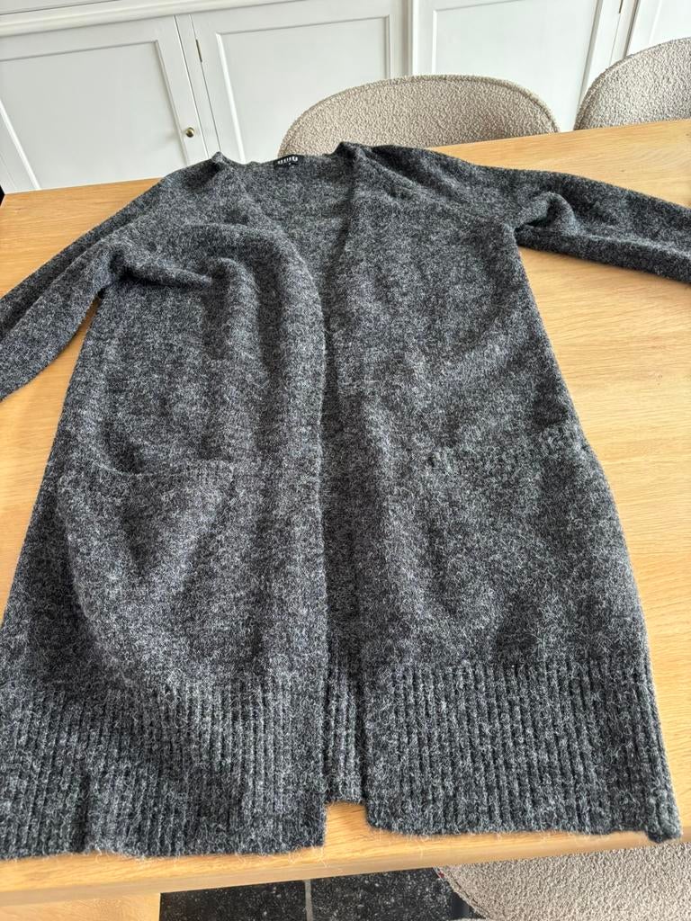 Lang vest voor dames, Maat 38/40 (M), Ophalen of Verzenden, Gedragen, Désiré