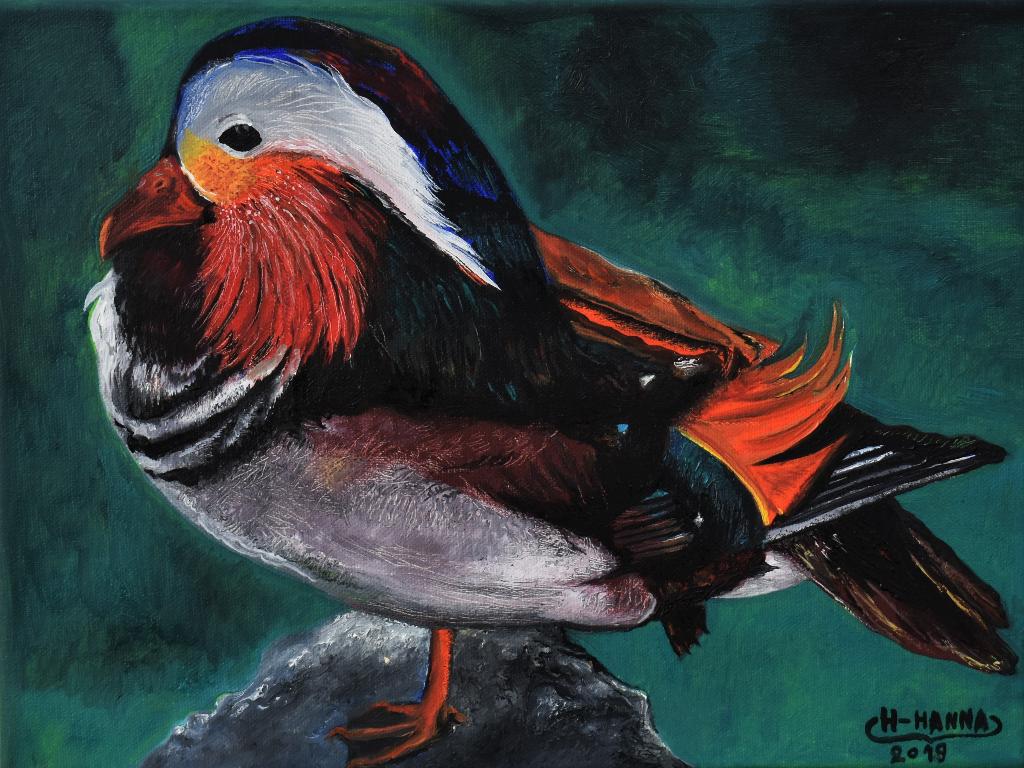 canard mandarin peinture, signe joky kamo, Enlèvement
