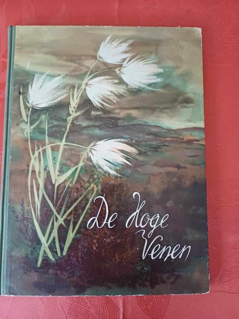 plaatjesboek, Ophalen of Verzenden, Gelezen, AJL Looyen, Prentenboek