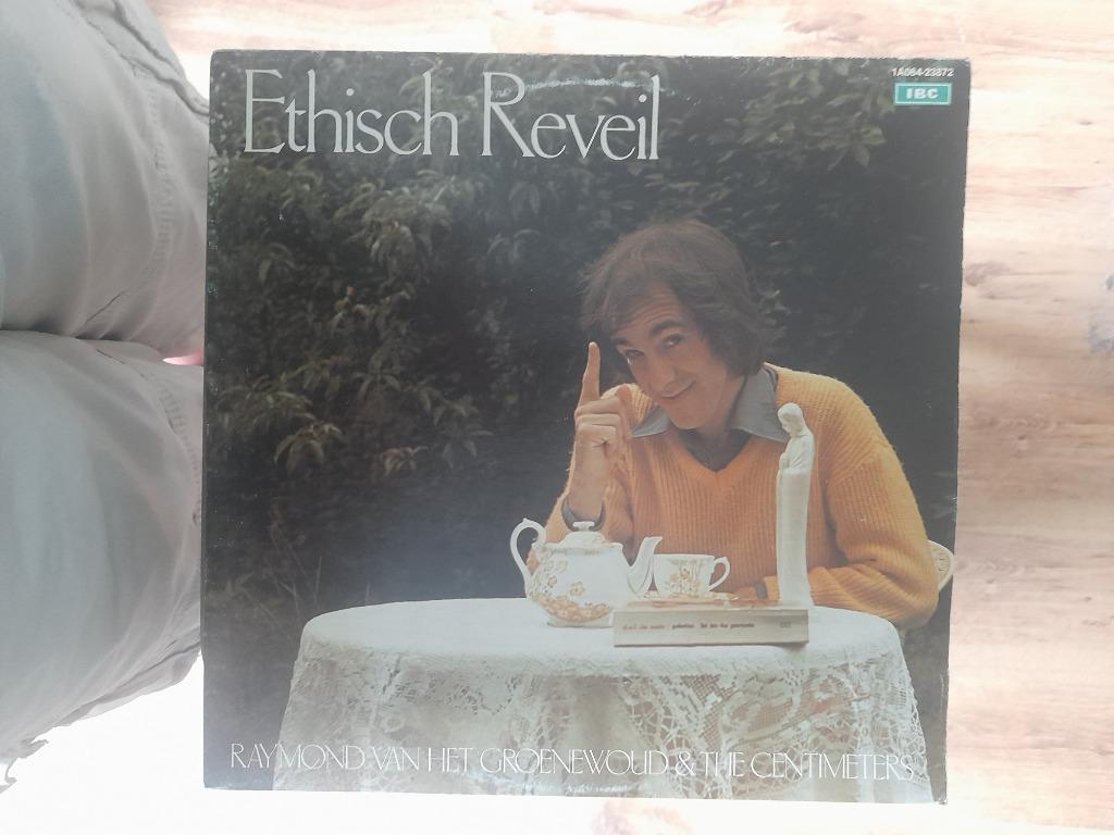 Raymond van het groenewoud – 2 Lps, Cd's en Dvd's, Verzenden, Poprock