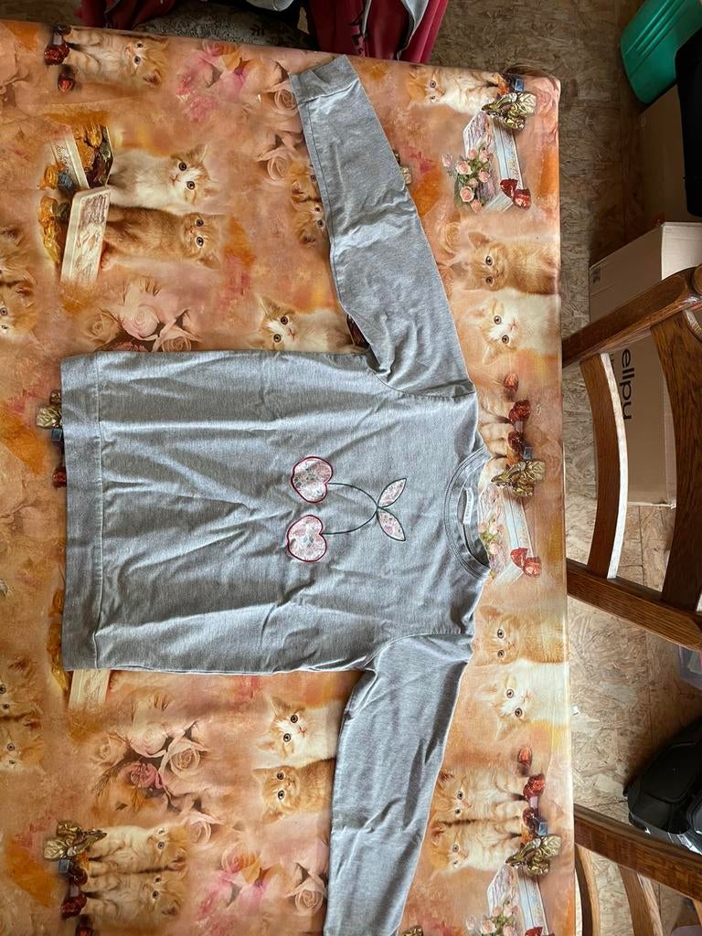 Sweater celebs 10 jaar, Ophalen, Gebruikt, Meisje, Trui of Vest