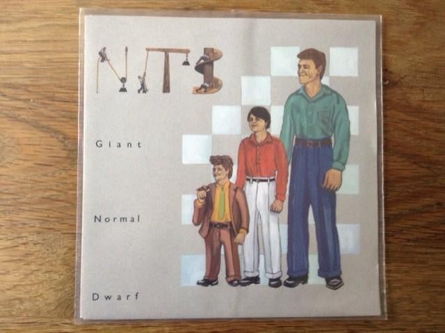 single the nits, Cd's en Dvd's, Ophalen of Verzenden, Rock en Metal