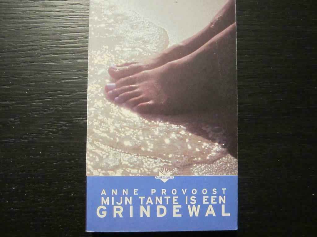 Mijn tante is een grindewal  (Anne Provoost), Ophalen of Verzenden, Gelezen, Amerika