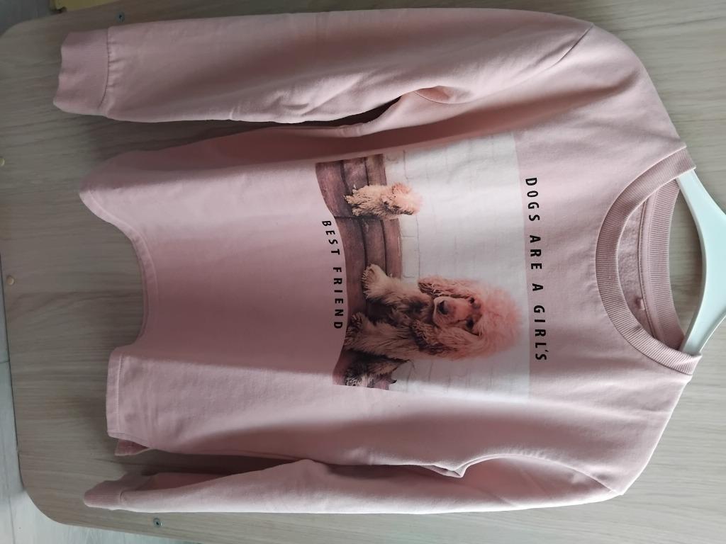 Sweater hondjes M, Maat 38/40 (M), Ophalen of Verzenden, Zo goed als nieuw, Roze