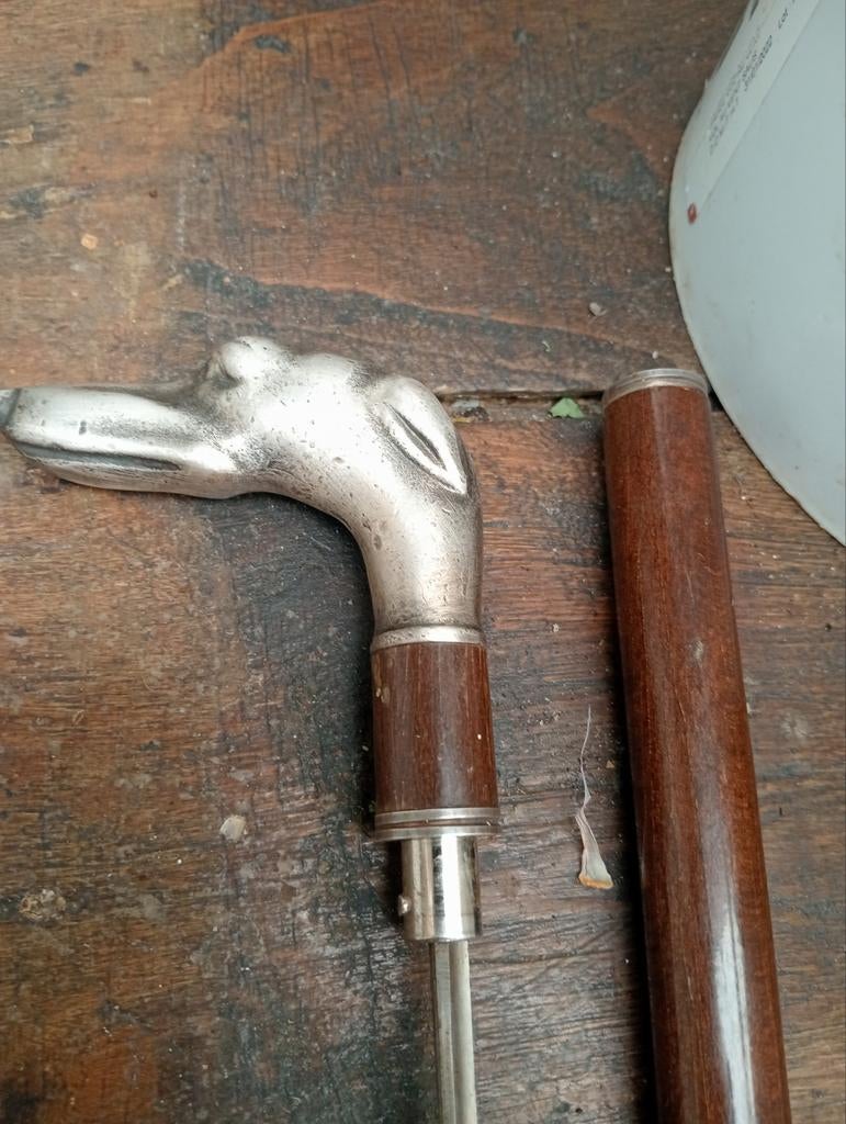 Prachtig zilverriet uit de oudheid. Greyhound