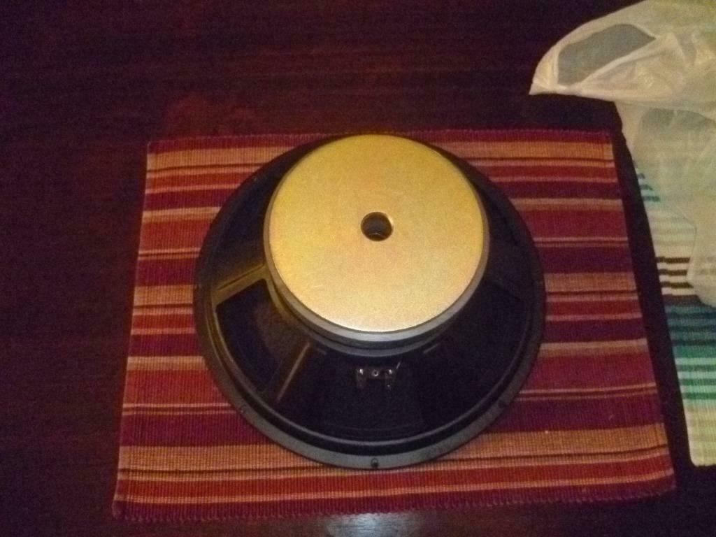 dap 12" speaker, Audio, Tv en Foto, Luidsprekerboxen, Ophalen of Verzenden, Nieuw
