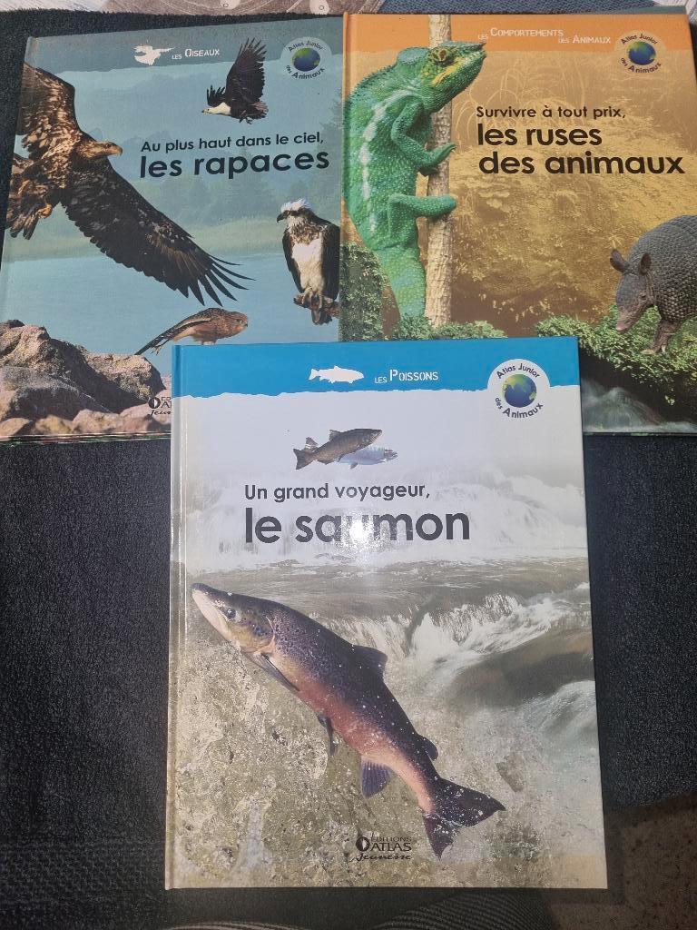 atlas junior des animaux 40 pièces, Enlèvement, Comme neuf, Autres espèces