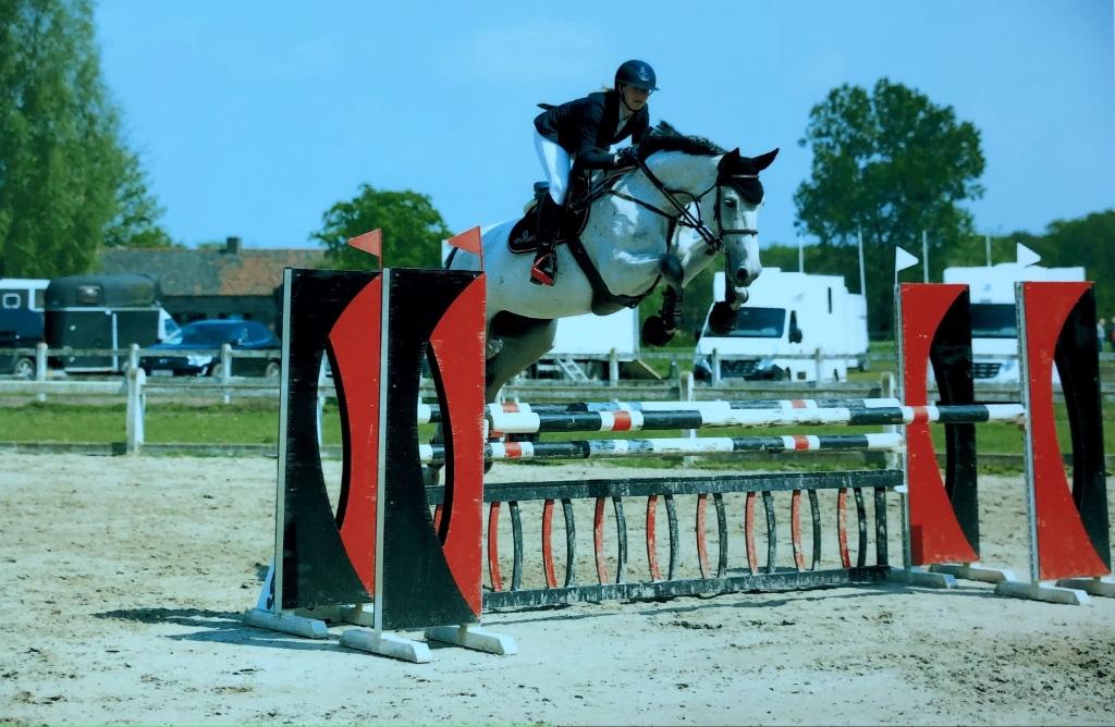 Ruiter en trainer aangeboden, Dieren en Toebehoren