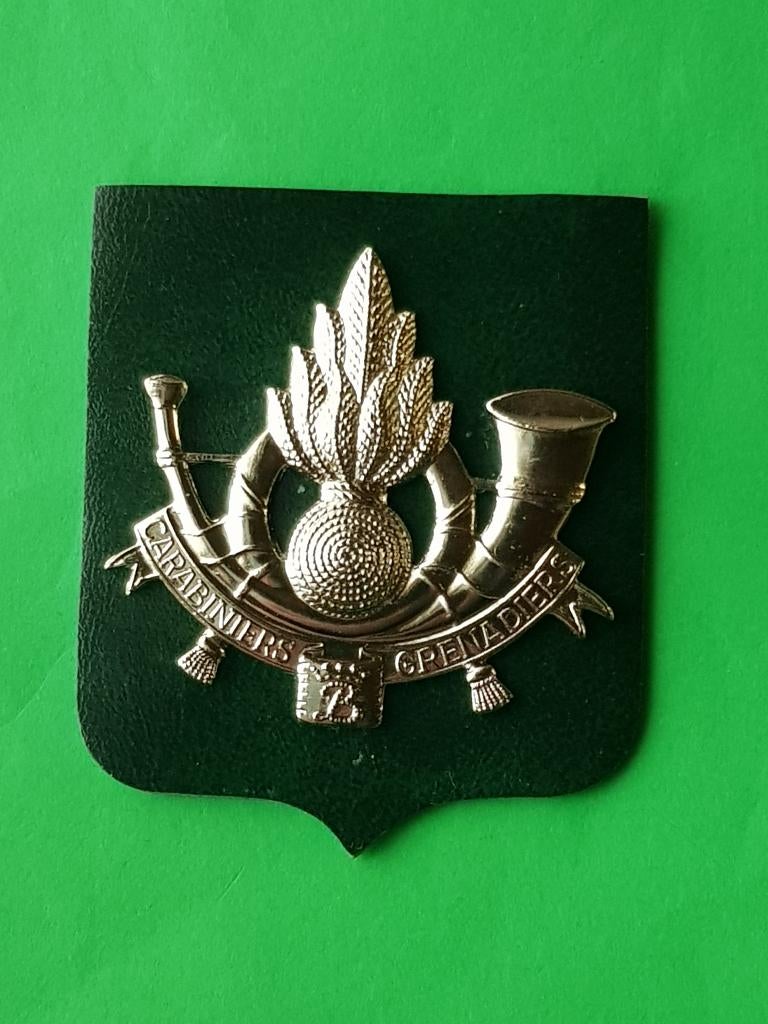 Belgian Army Mutskenteken ( LMM8 ), Verzamelen, Ophalen of Verzenden, Landmacht, Embleem of Badge