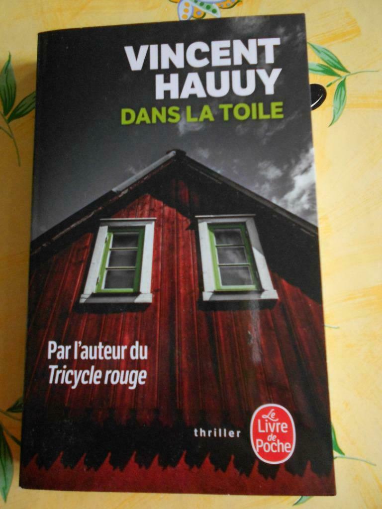 Dans la toile de Vincent Hauuy LIVRE DE POCHE, Boeken, Thrillers, Zo goed als nieuw, Europa overig, Ophalen of Verzenden