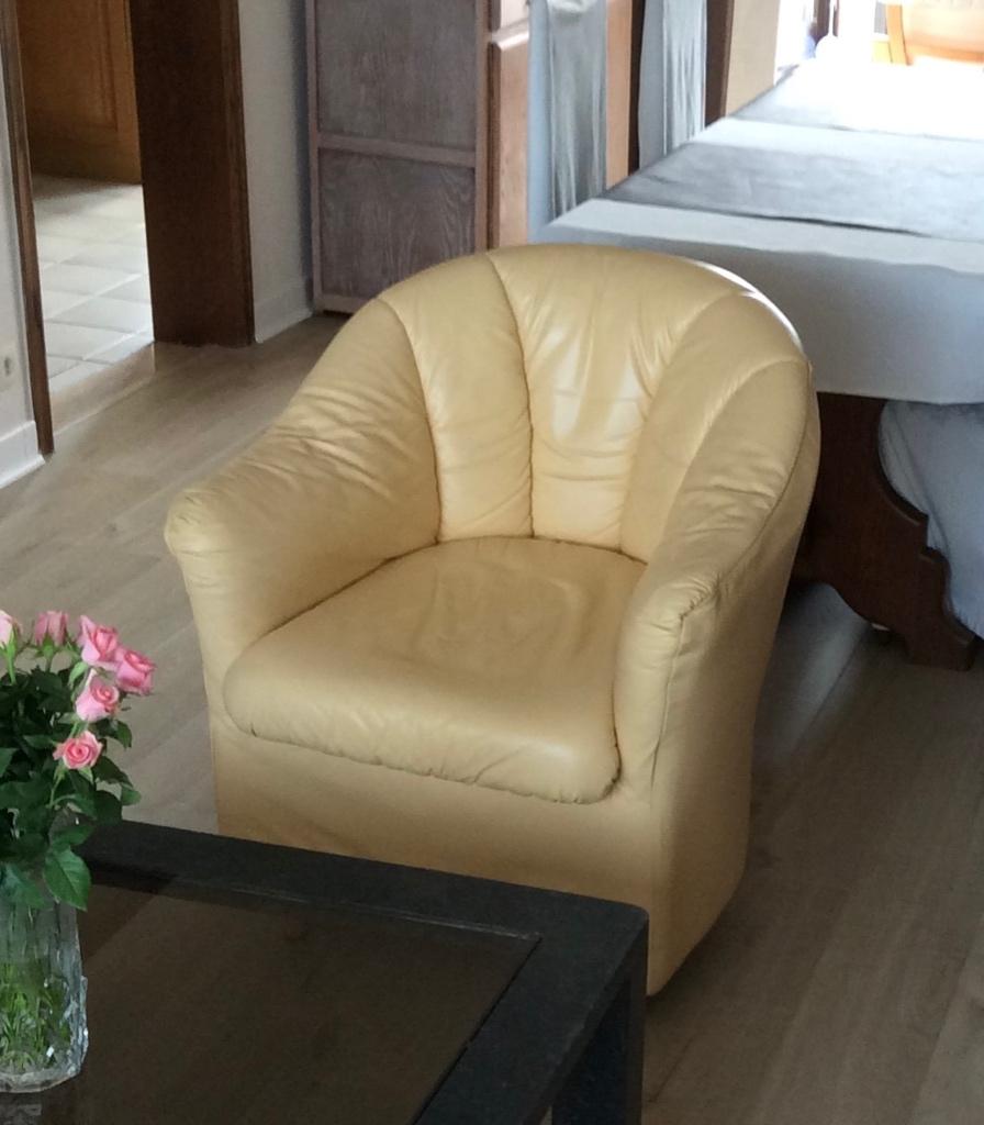 Launge zetel leder, Enlèvement, Comme neuf, Une personne, Cuir
