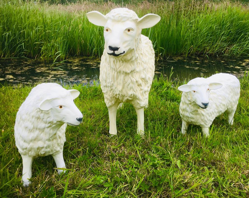 schaap beelden tuin terras veranda, Tuin en Terras, Tuinbeelden, Nieuw, Dierenbeeld, Kunststof, Ophalen of Verzenden