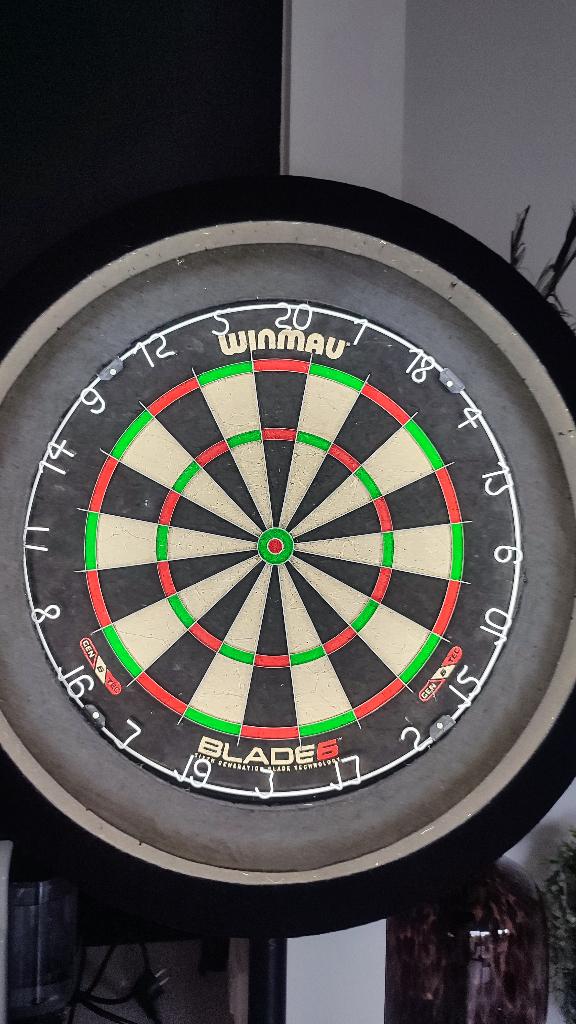 Darts bord met beschermings ring en verlichting, Sport en Fitness, Darts, Ophalen, Zo goed als nieuw, Dartbord
