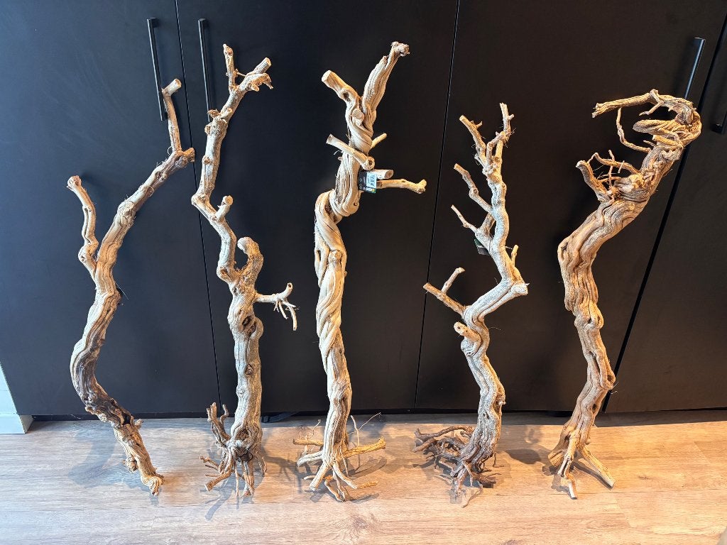 Repto dragon tree 90-105, Enlèvement, Neuf, Terrarium ou Paludarium