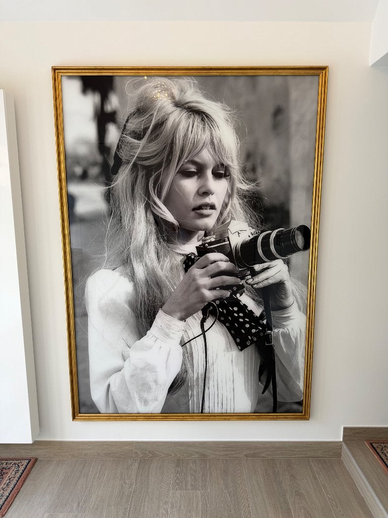 Glasfoto/glasplaat/brigitte Bardot, Verzamelen, Ophalen, Nieuw, Film, Foto of Kaart